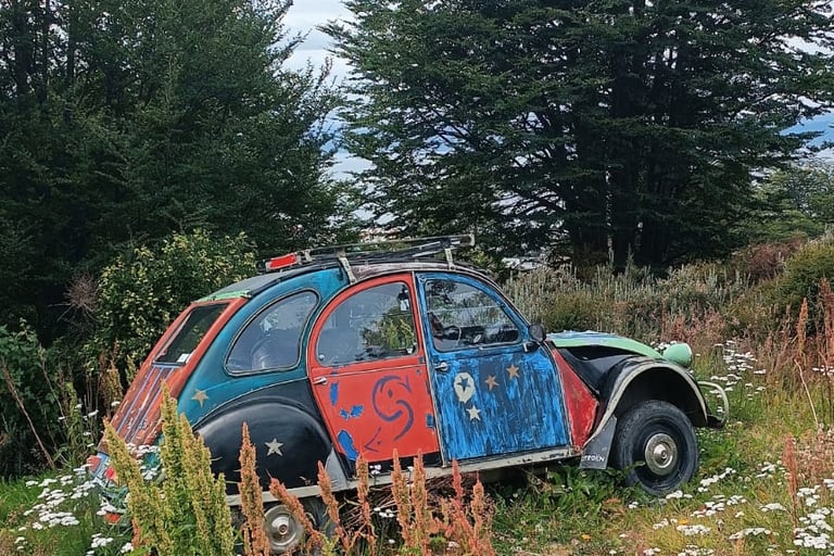 Cosa vedere a Punta Arenas