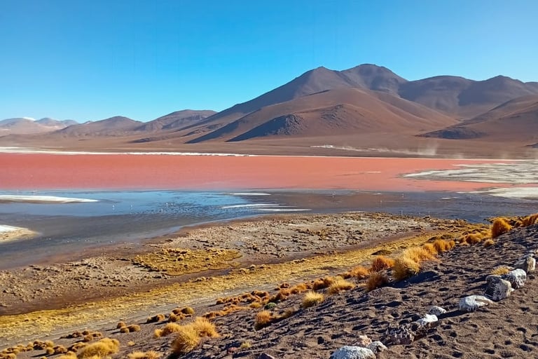 Laguna Colorada Bolivia