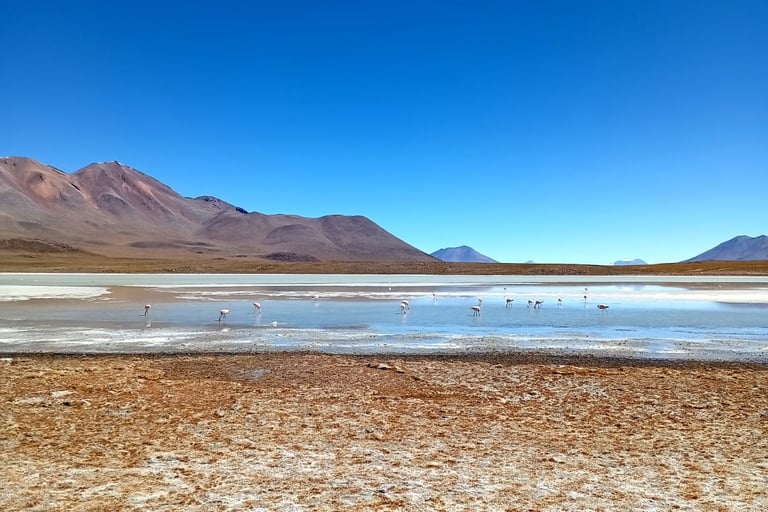 Quanto costa un tour nel salar de uyuni