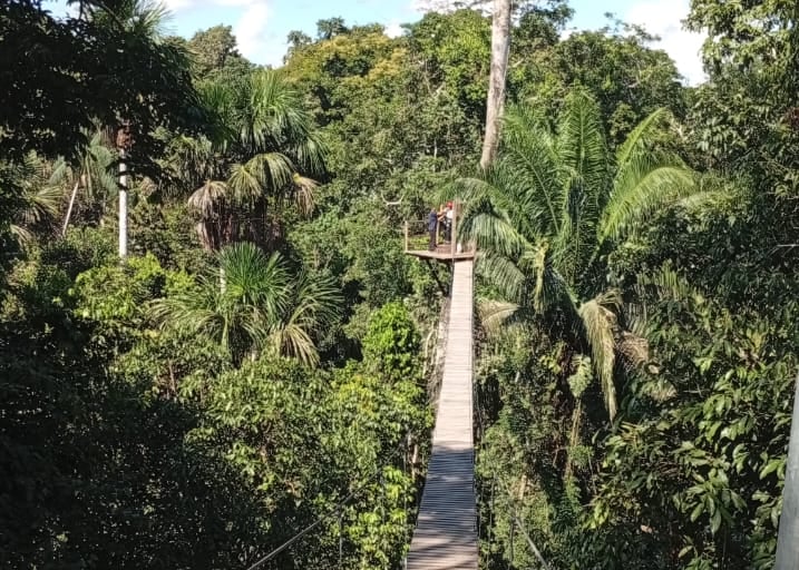 canopy walk e zip-line nella tambopata national reserve