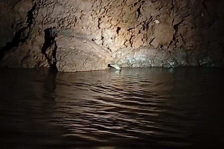 avvistamento di caimano in amazzonia