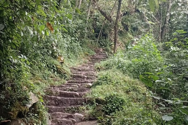 Scalinate per raggiungere le rovine di Machu Picchu