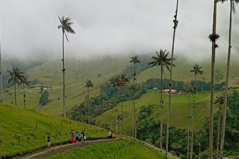 info utili per visitare Valle del Cocora