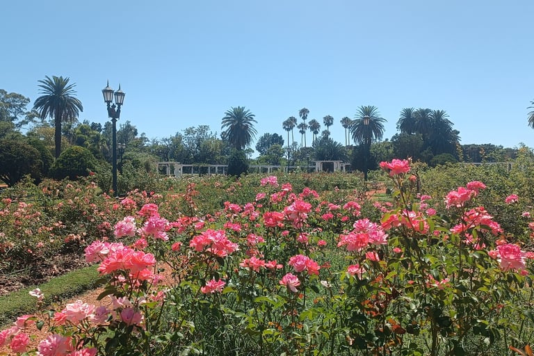 cosa vedere a Buenos Aires - Parque Tres de Febrero