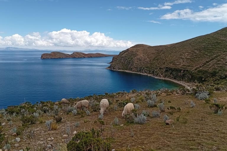 Cosa vedere a Copacabana e Isla del Sol