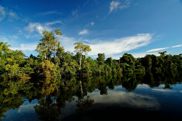 Amazzonia Ecuadoriana cosa fare