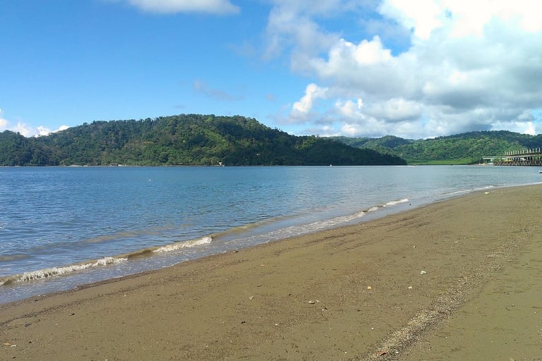 Cosa fare a Puerto Jimenez