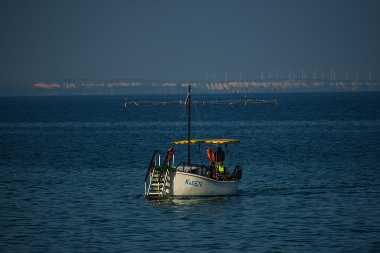 Cosa vedere a Boca Chica - Escursioni in Barca