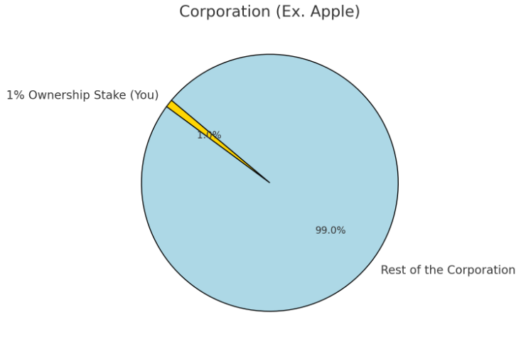 Shows how a stock is partial ownership of a company.