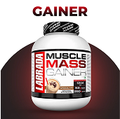 sa protein house gainer