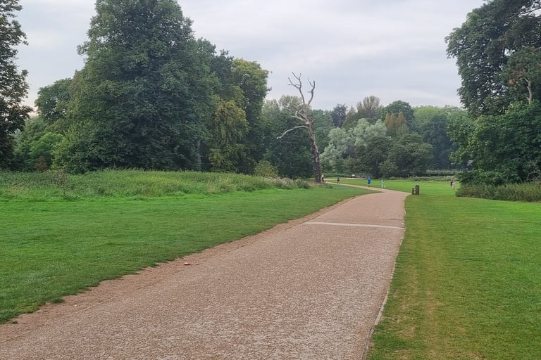 showing path surrounded by grass leading down a hill to a woodland area