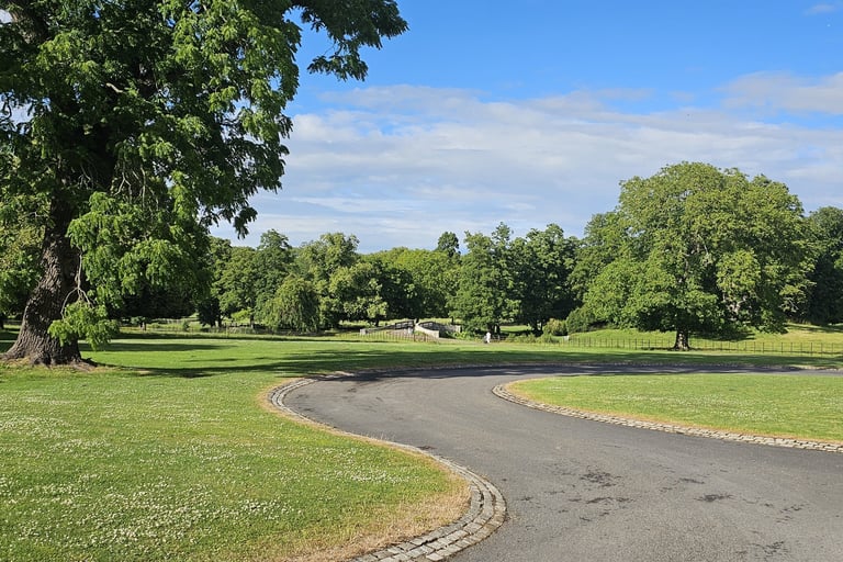 showing an open green space with maturre trees and a roadway