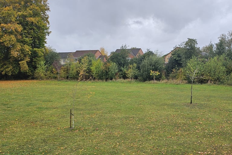 showing an open green space with trees in the background