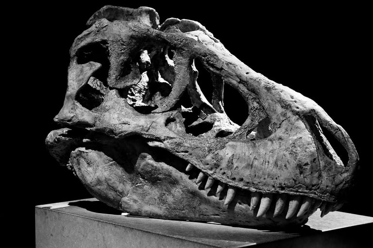 crane de tarbosaurus