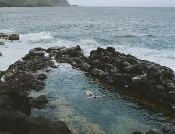 a person swimming in a body of water