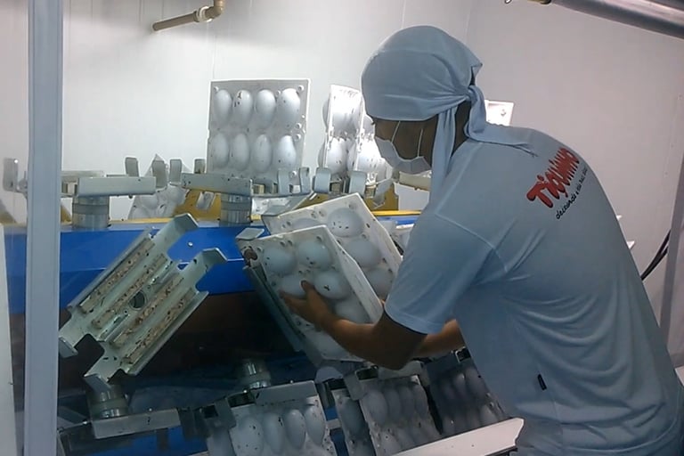 Centrifuga Livros Duplos