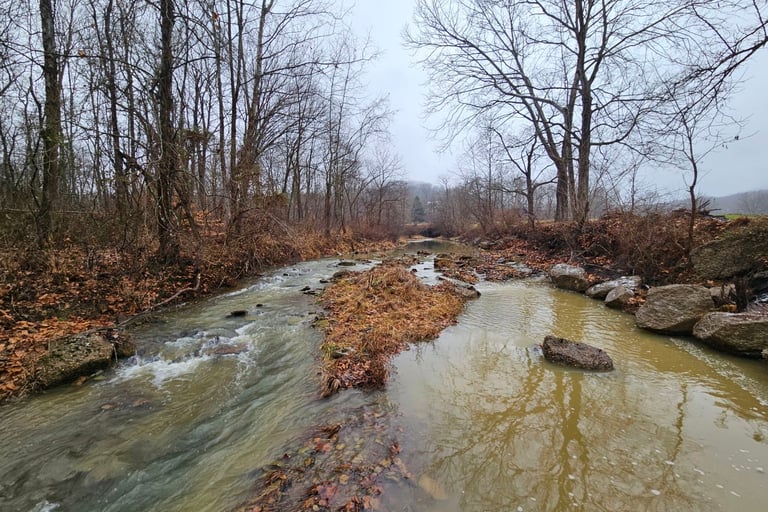 serene recovery environment