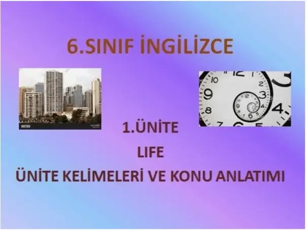 6. sınıf ingilizce 1. ünite life konu anlatımı