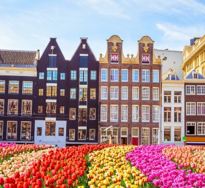 Amsterdam - a flower bed of tulips in front of a building