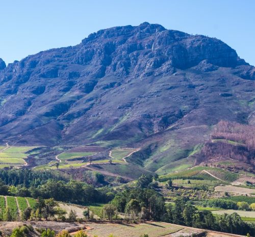 a mountain view of a valley with a few trees