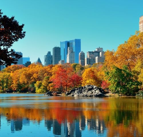 nyc city skyline with skyscrapers and trees in the background