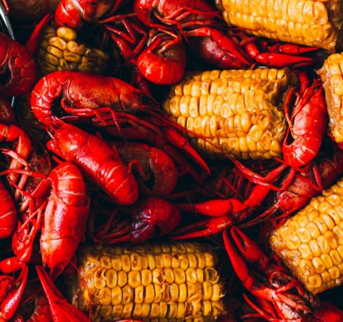 crawfish