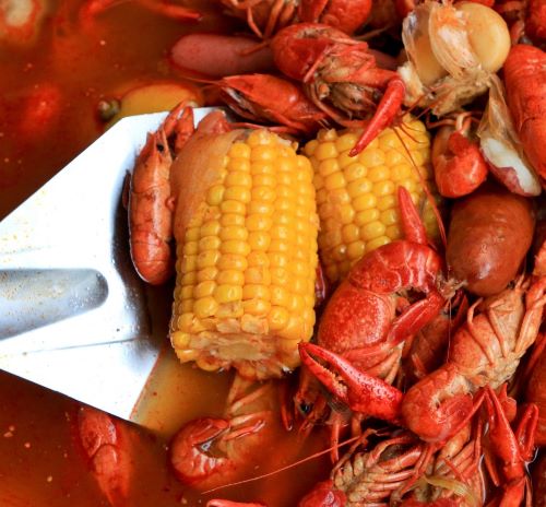 crawfish