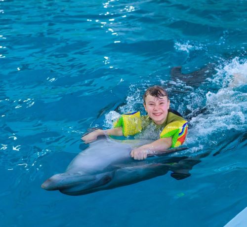  Dolfinarium with dolphins in a pool