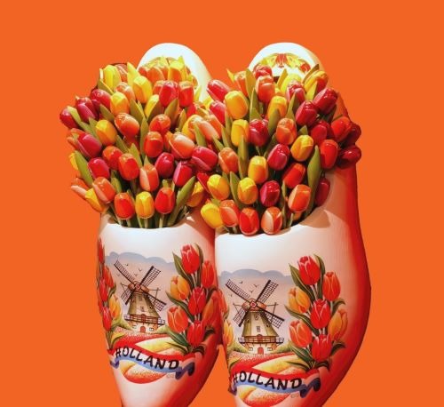 Traditional Dutch white clogs with windmills filled with colorful tulips on an orange background.