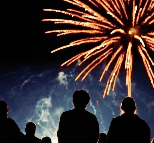 people watching fireworks in the night sky