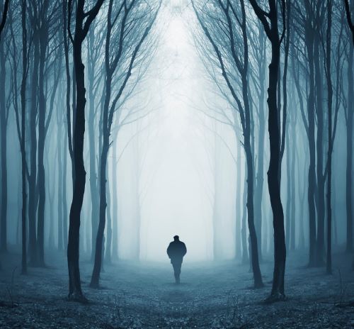 a man walking through a forest with a foggy sky