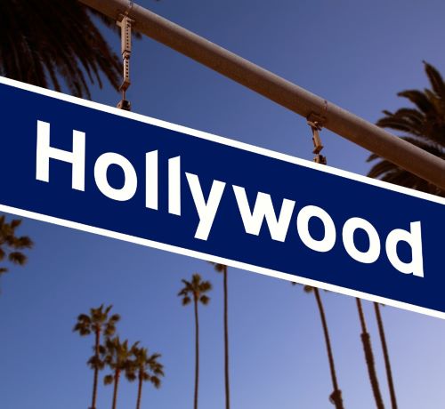 a blue and white street sign with palm trees in the background