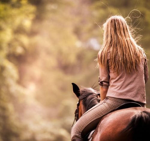a woman riding a horse in the woods