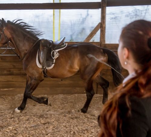a woman riding a horse in a stable