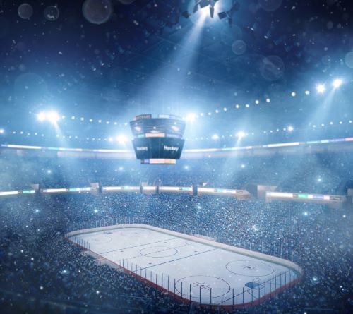 a hockey player is playing in a stadium