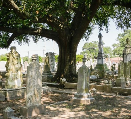 Historic stone headstones and monuments in a cemetery under the shade of a large oak tree.