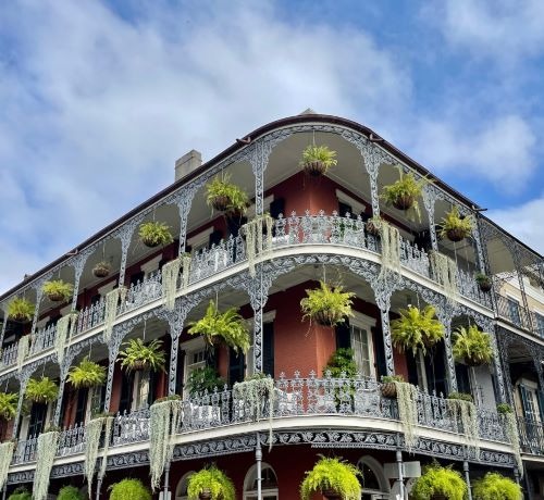 a mansion with a bunch of plants on the side of it