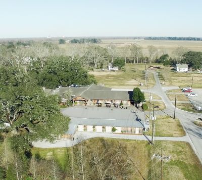 oak alley - a large building with a lot of trees and a lot of grass