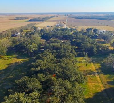 oak alley - a large field with a lot of trees and a few houses