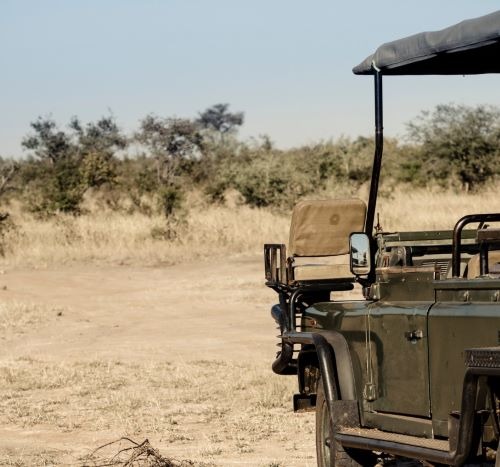 a safari vehicle with a safari vehicle in the background