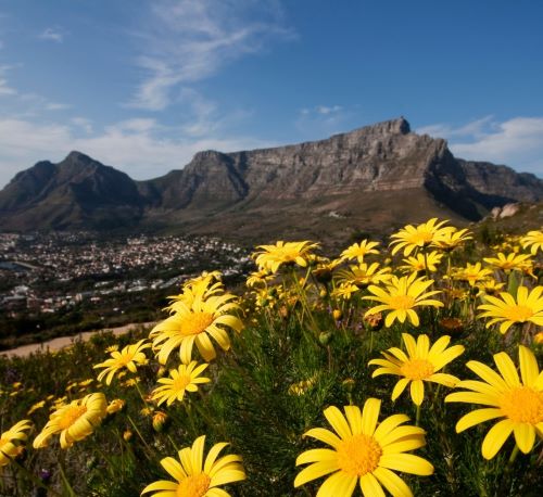Table Mountain