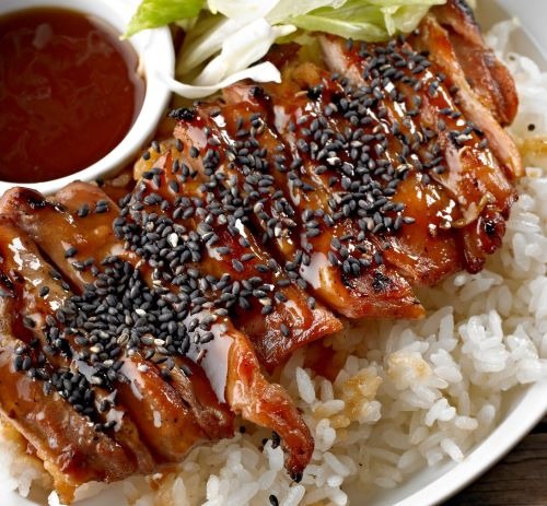 a plate of food with rice, teriyaki and meat