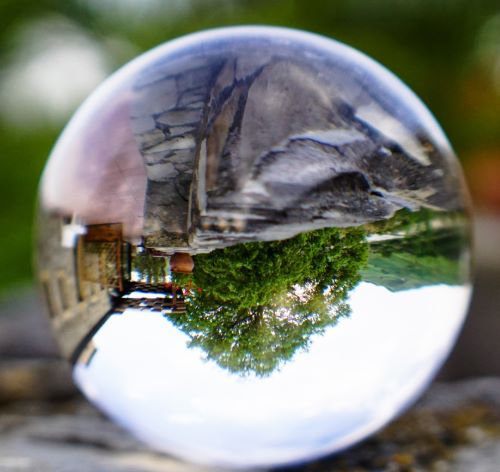 a glass ball with a tree in the middle of it - UPSIDE DOWN