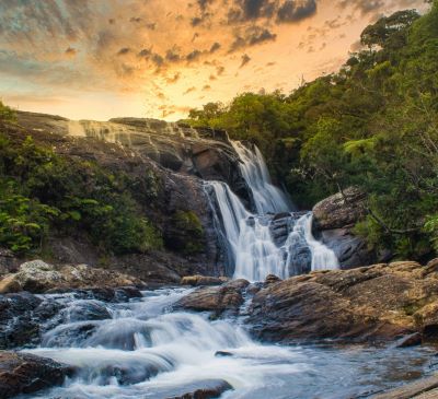a waterfall in the middle of a forest