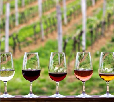 a row of wine glasses with wine glasses on them