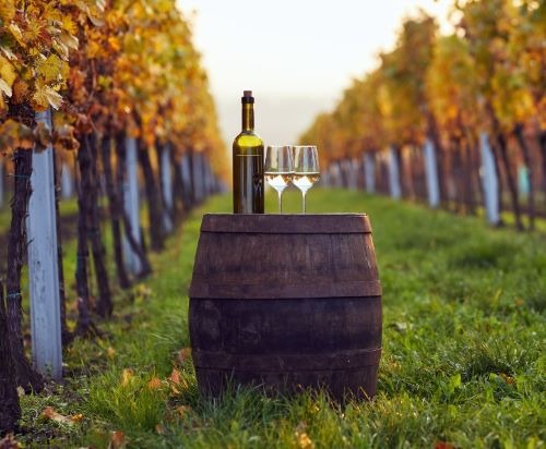 wine bottles and wine glasses on a vineyard