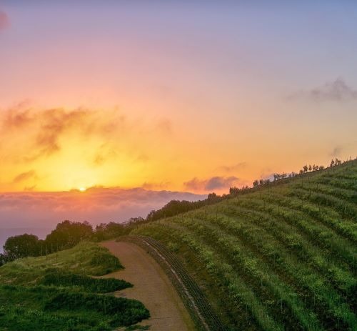 WINE LANDS IN CAPE TOWN 