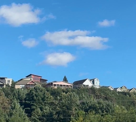 Homes along a Ridgeline above the tree in Weaverville, North Carolina