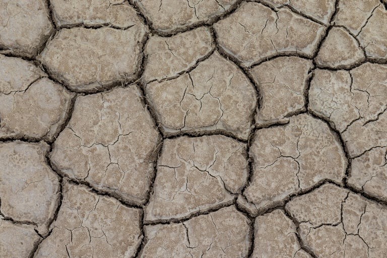dry ground
