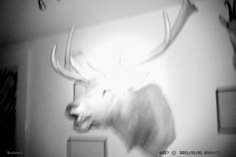 Ghost in the Shed (Terminus)